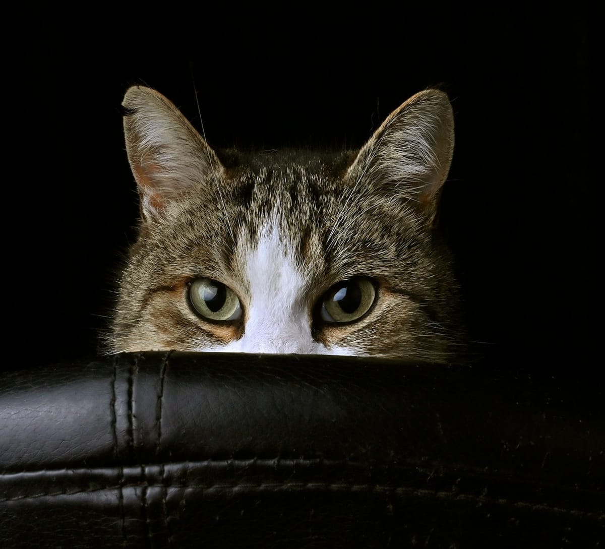 The Art of Observation